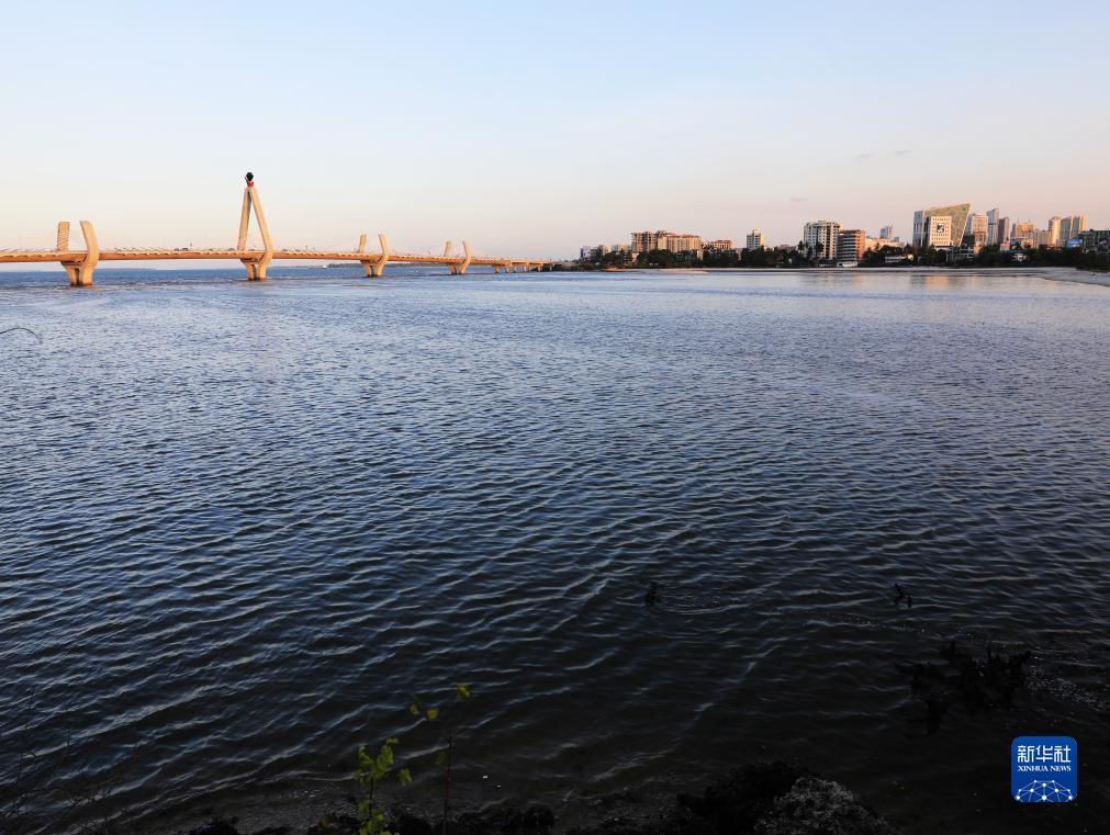 搜狗浏览器